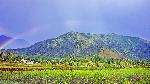1467703251_2stand 3.jpg
